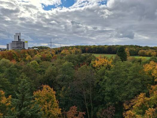 Wohnung zum Kauf provisionsfrei 220.000 € 2,5 Zimmer 55,1 m² Geschoss 7/8 Julius-Brecht-Straße 16 Schwalbach 65824