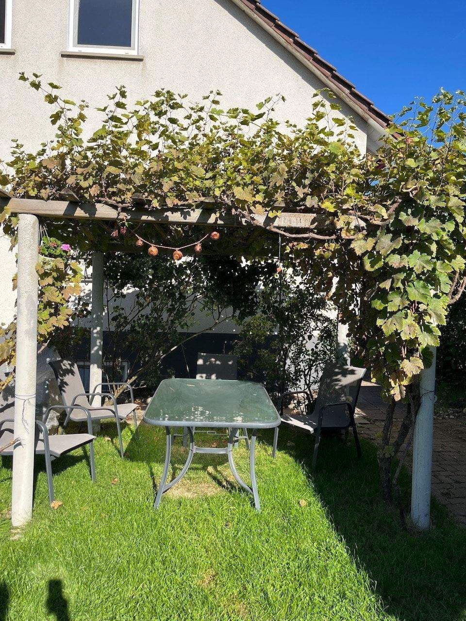 Immobilie in Bondorf - Einfamilienhaus mit genug Platz und tollem Garten - Bild 3