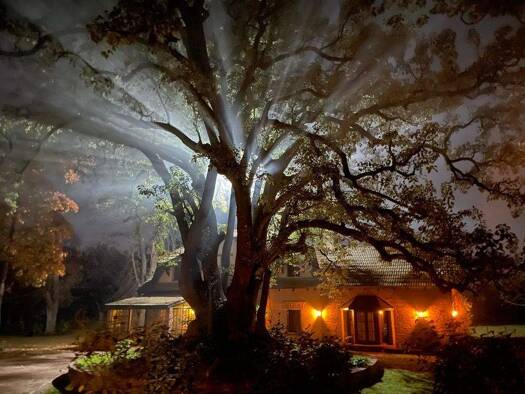 Landhaus zum Kauf 550.000 € 414 m² 26.510 m² Grundstück frei ab sofort Chazarreta 5080 Zelaya