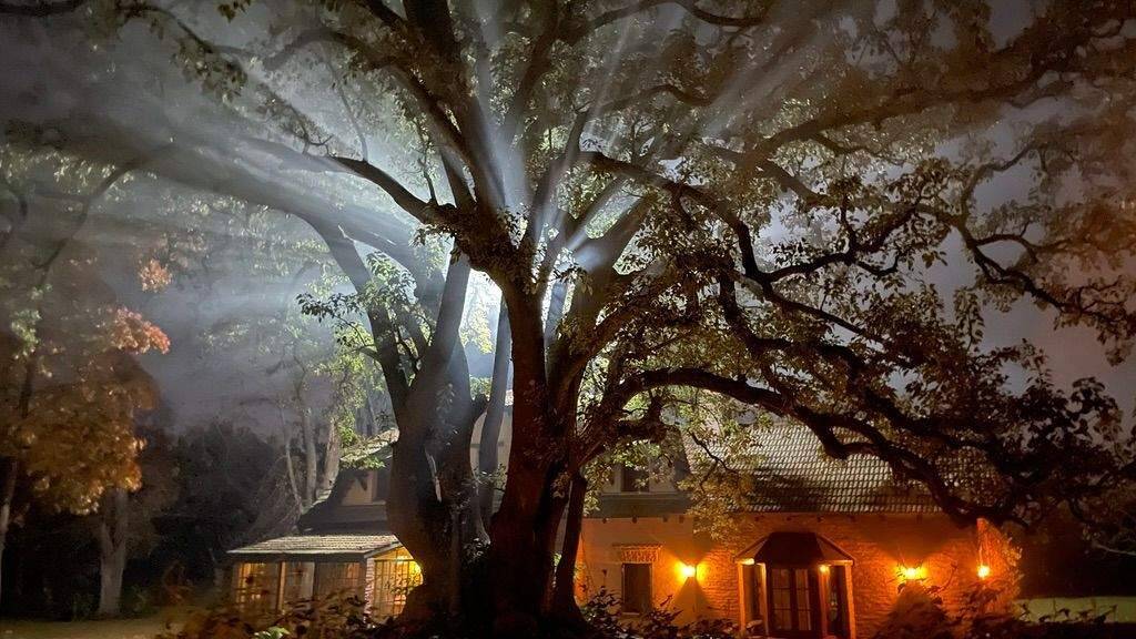 Landhaus zum Kauf 550.000 € 414 m² 26.510 m² Grundstück frei ab sofort Chazarreta 5080 Zelaya