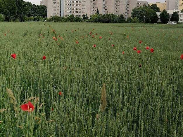 Penthouse zum Kauf provisionsfrei 499.000 € 3,5 Zimmer 94,2 m² Möhringen Stuttgart - Möhringen 70567