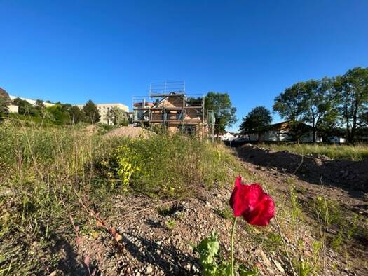 Grundstück zum Kauf 95.000 € 540 m² Grundstück Baugenehmigung vorhanden August-Rudloff-Straße Eisenach Eisenach 99817