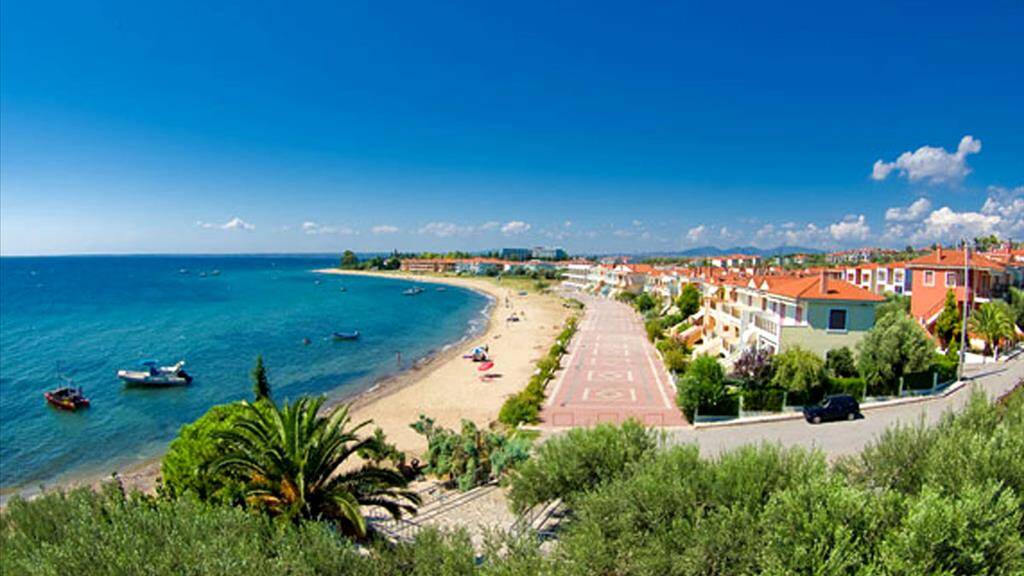 Land-/Forstwirtschaft zum Kauf 120.000 € 6.500 m² Grundstück Chalkidiki