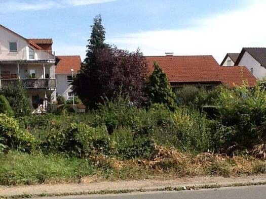 Grundstück zum Kauf provisionsfrei 598.000 € 591 m² Grundstück Nibelungenstr. 2 Gernsheim 64579