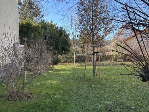 Terrassenwohnung zur Miete 596 € 2 Zimmer 69,5 m² EG Mödling 2340