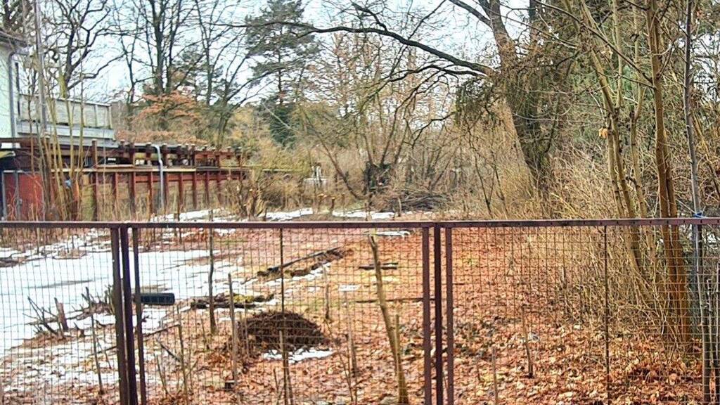 Grundstück zum Kauf 238.000 € 721,5 m² Grundstück Mühlenbeck 16567