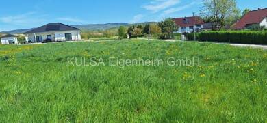 Grundstück zum Kauf provisionsfrei 89.000 € 730 m² Grundstück Barchfeld Barchfeld-Immelborn 36456