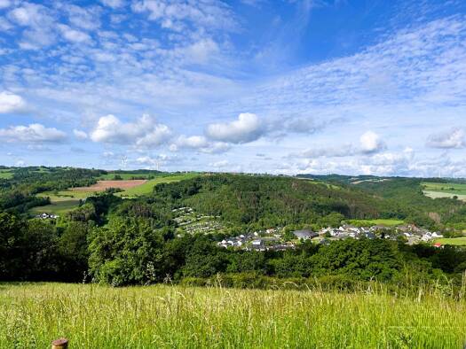 Grundstück zum Kauf 65.000 € 640 m² Grundstück Waxweiler 54649