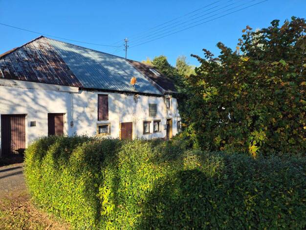 Bauernhaus zum Kauf 29.000 € 3 Zimmer 70 m² 1.239 m² Grundstück frei ab sofort Eilscheid 54649