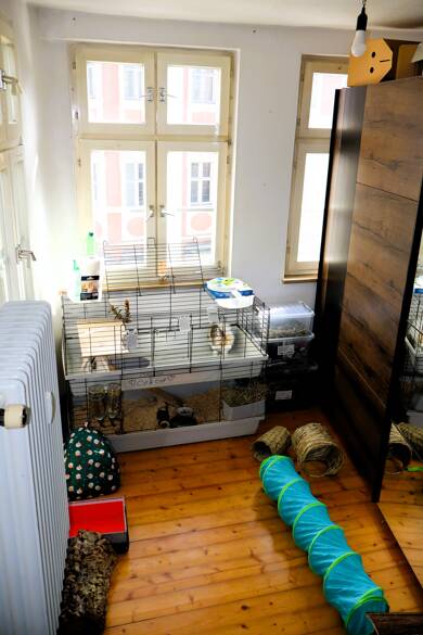Wohnung zur Miete 590 € 2 Zimmer 50 m² 2. Geschoss Pfahlplätzchen 4 Bamberg Bamberg 96047