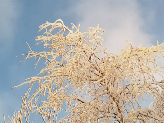 Hotel zum Kauf 4.000.000 € 21 Zimmer 50 Betten Innenstadt Baden-Baden 76530