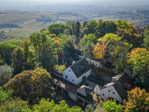 Villa zum Kauf 9.800.000 € 9 Zimmer 430 m² 3.694 m² Grundstück Wien 1190