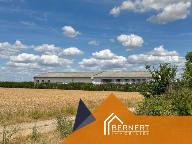 Freifläche zum Kauf 299.000 € 23.304 m² Lagerfläche teilbar ab 500 m² Pretzsch Bad Schmiedeberg 06905