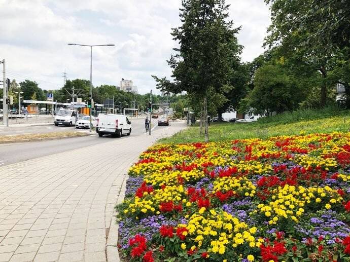 Property thumbnail 24