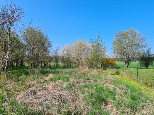 Grundstück zum Kauf 140.000 € 5.108 m² Grundstück Klein Döbbern Neuhausen/Spree 03058