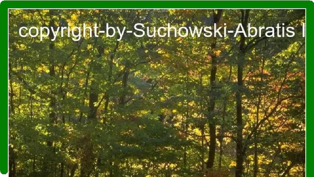 Land-/Forstwirtschaft zum Kauf 180.000 € 160.147 m² Grundstück Gröditsch Märkische Heide 15913