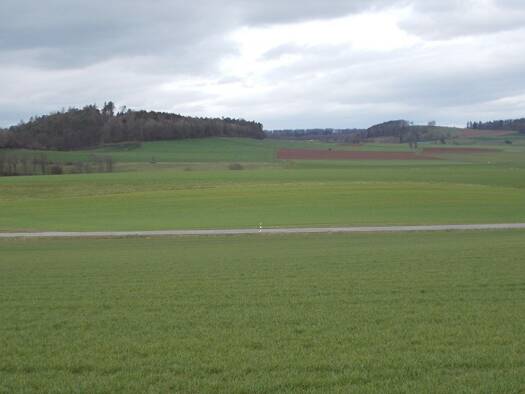 Land-/Forstwirtschaft zum Kauf 65.826 € 21.942 m² Rosenthal 35119