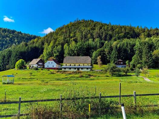 Land-/Forstwirtschaft zum Kauf 1.390.000 € 92.341 m² Grundstück Neuhaus 9155