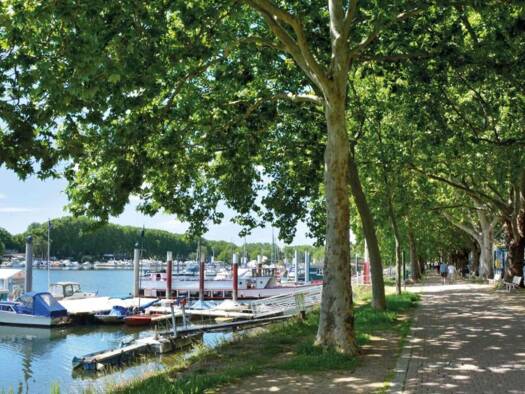 Restaurant zur Miete 3.600 € 120 m² Gastrofläche Schierstein Wiesbaden 65201