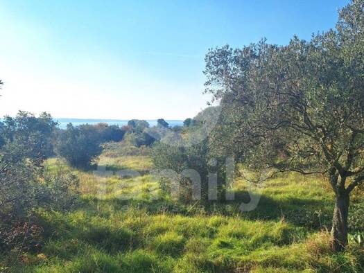 Acker-/Waldstück zum Kauf 239.000 € Fažana 52212
