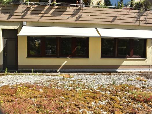 Büro zum Kauf provisionsfrei 450.000 € 5 Zimmer 100 m² Bürofläche West Kassel 34119