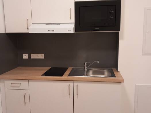 Wohnung zur Miete 480 € 1 Zimmer 19,2 m² frei ab 01.05.2026 Gleißbühl Nürnberg 90402
