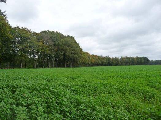 Jagdrevier zur Miete 2.300.000 m² Grundstück Dinklage 49413