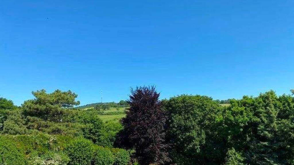 Wohnung zur Miete 2.309 € 5 Zimmer Wien, Döbling 1190