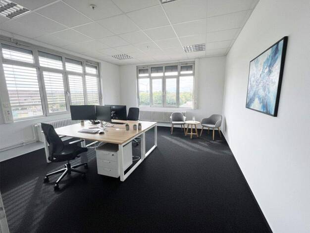 Bürofläche zur Miete 6,50 € 136,7 m² Bürofläche Carl-Reuther-Straße 3 Waldhof Mannheim 68305