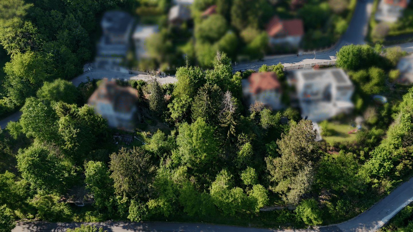 Grundstück zum Kauf - View 4