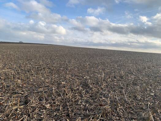 Land-/Forstwirtschaft zum Kauf 3.611.400 € 240.760 m² wittem