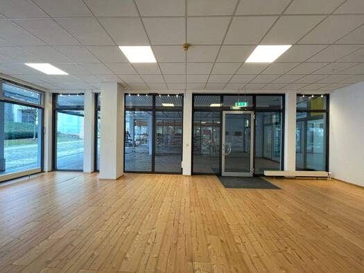 Verkaufsfläche zur Miete provisionsfrei 442 € 1 Zimmer 73,7 m² Verkaufsfläche teilbar ab 73,7 m² Nicolaistraße 37 Auerbach 08209