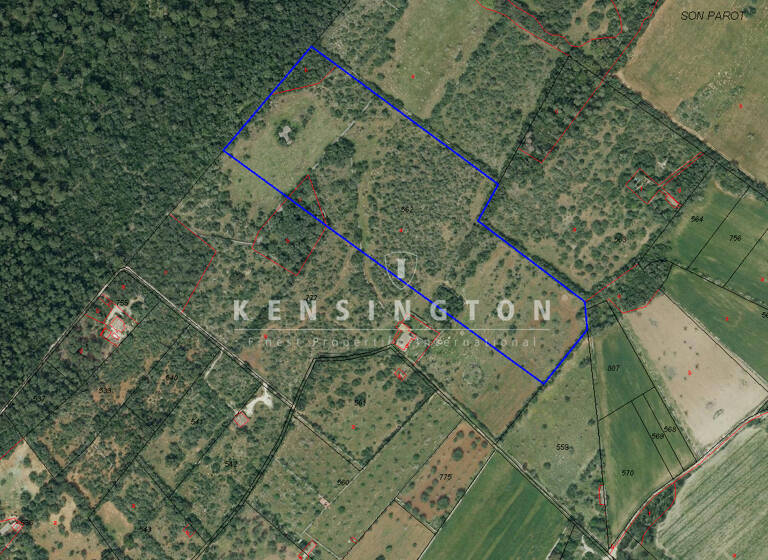 Landhaus zum Kauf provisionsfrei 600.000 € 5 Zimmer 400 m² 84.743 m² Grundstück Llubí 07430