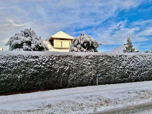 Sonstiges zum Kauf 1.299.000 € 8 Zimmer 315 m² 1.161 m² Grundstück Rellingen 25462