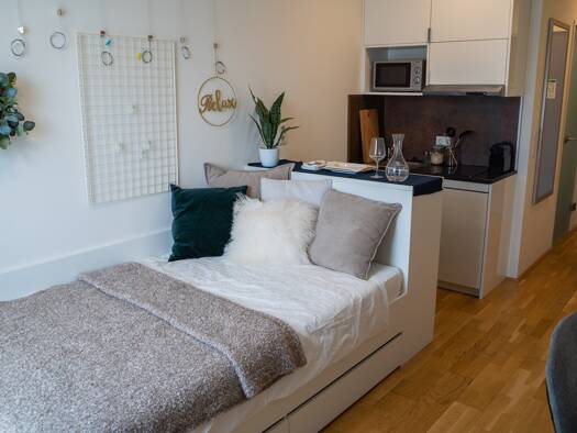 Wohnung zur Miete 970 € 1 Zimmer 19 m² 1. Geschoss frei ab sofort Dresdner Straße 107 Brigittenau 1200