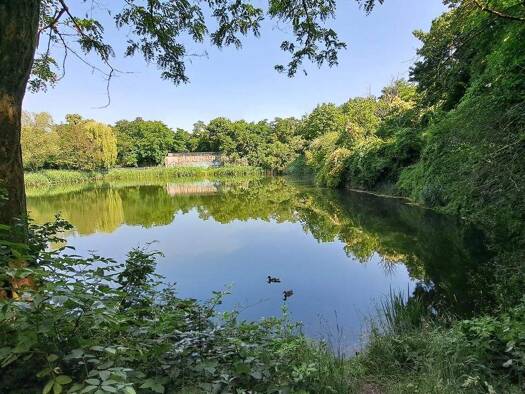 Wohnung zur Miete 409 € 3 Zimmer 68,1 m² 4. Geschoss Bruno-Beye-Ring 7 Neu Olvenstedt Magdeburg 39130