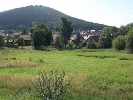 Grundstück zum Kauf 5.770 m² Grundstück Frankfurterstraße 34 Kieselbach 36460