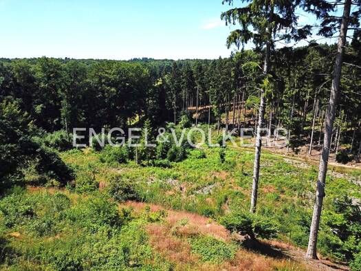 Grundstück zum Kauf 1.975.000 € 6.673 m² Grundstück Helmstorf Seevetal 21218