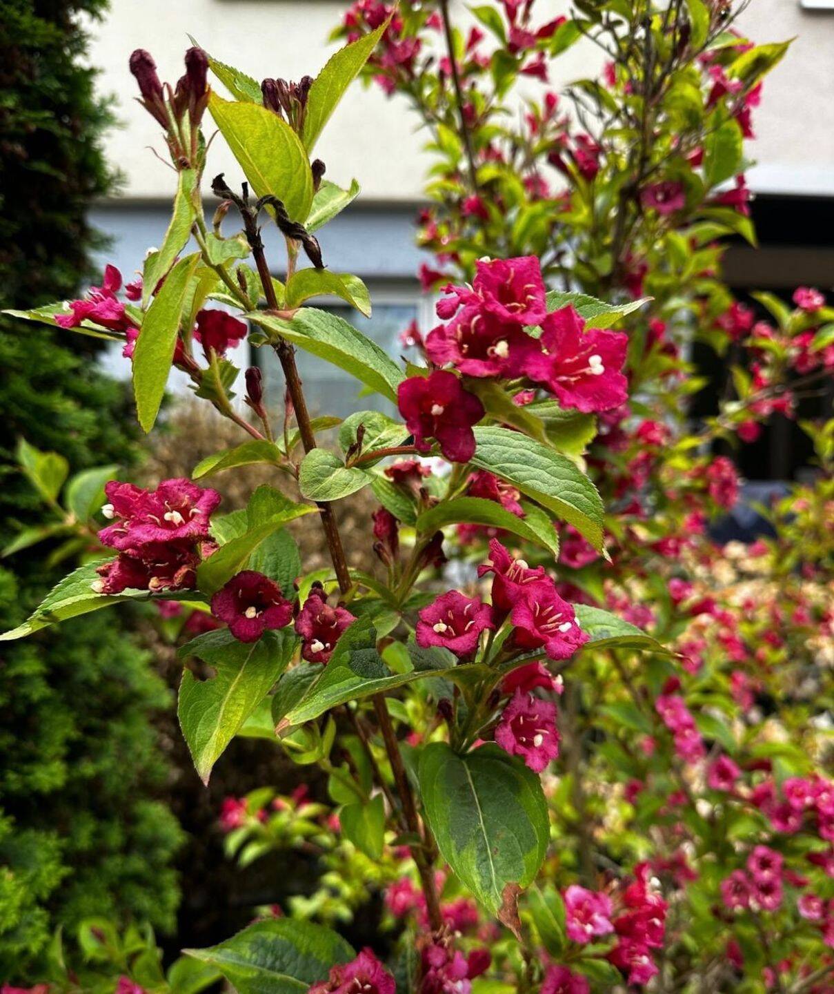 Property thumbnail 33