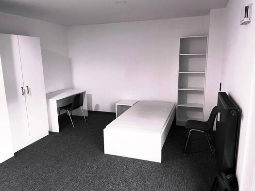 Wohnung zur Miete 550 € 1 Zimmer 25,5 m² 1. Geschoss frei ab sofort Peterstraße 36 St Peter Weiterer Innenstadtgürtel Süd 90478