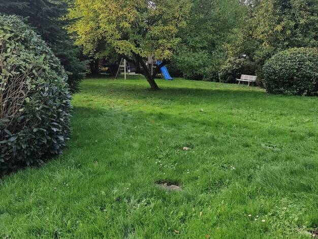 Einfamilienhaus zum Kauf 445.000 € 6 Zimmer 165 m² 600 m² Grundstück frei ab 01.12.2026 Westerhorn 25364