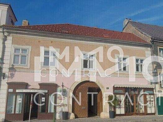 Einfamilienhaus zum Kauf 750.000 € 300 m² 1.248 m² Grundstück frei ab sofort Langenlois 3550