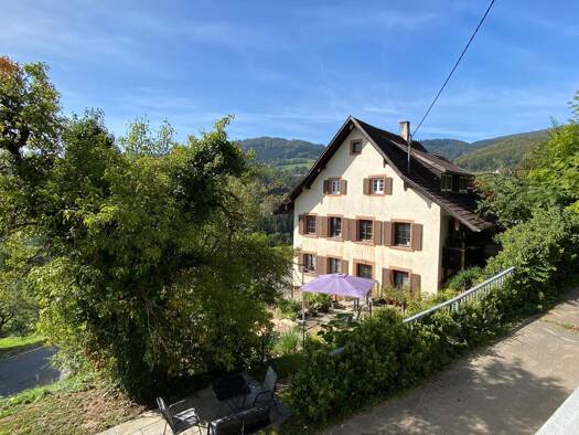 Mehrfamilienhaus zum Kauf 520.000 € 16 Zimmer 240 m² 821 m² Grundstück Raich Kleines Wiesental 79692