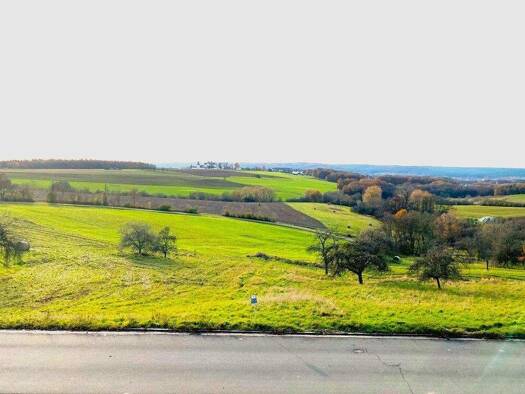 Einfamilienhaus zum Kauf 479.000 € 8 Zimmer 190 m² 867 m² Grundstück Rettern Eggolsheim / Rettern 91330