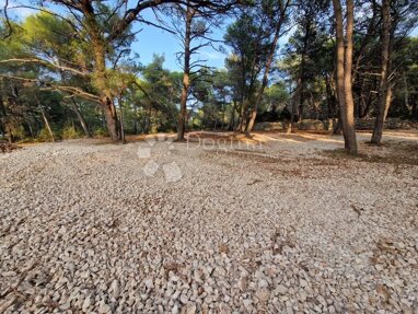 Land-/Forstwirtschaft zum Kauf 60.000 € Mali Losinj center 51550