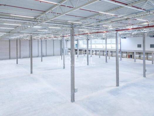 Lagerhalle zur Miete provisionsfrei 13.000 m² Lagerfläche teilbar ab 13.000 m² Bitburg Bitburg 54634