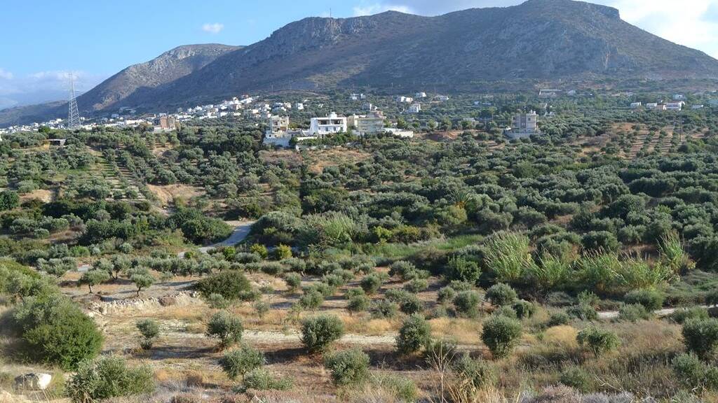 Land-/Forstwirtschaft zum Kauf 680.000 € 25.000 m² Grundstück Kreta