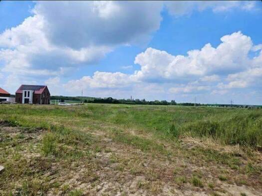 Einfamilienhaus zum Kauf provisionsfrei 249.050 € 4 Zimmer 136 m² 680 m² Grundstück Rethmar Sehnde 31319