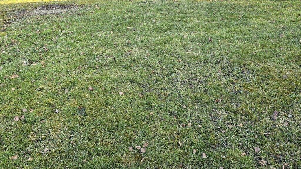 Haus zum Kauf 652.000 € 5 Zimmer 134 m² 285 m² Grundstück Sondelfingen 72766