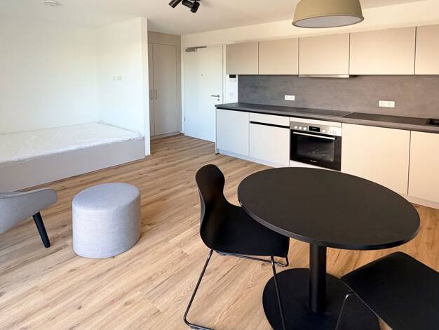 Wohnung zur Miete 745 € 1 Zimmer 30,4 m² 1. Geschoss frei ab 15.10.2026 Höfen Nürnberg 90431